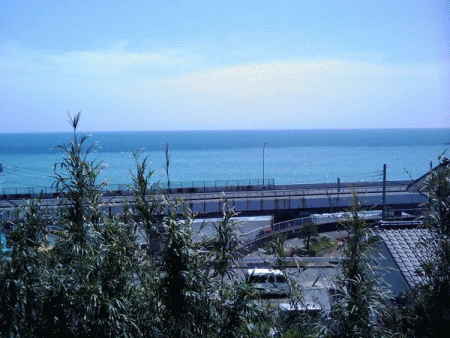 20100430_f.jpg.gif