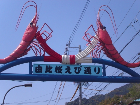 20100501_b.jpg
